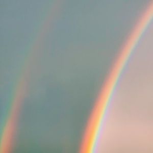 Meet your Posher, Alexia